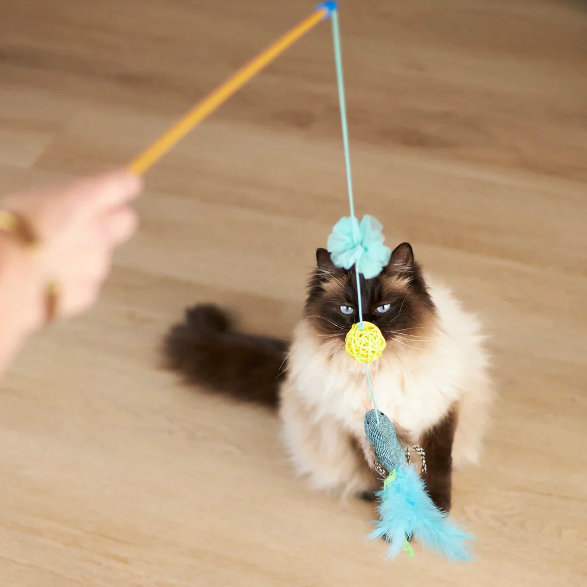Kazoo Bluebird Wand Cat Toy - Image 2