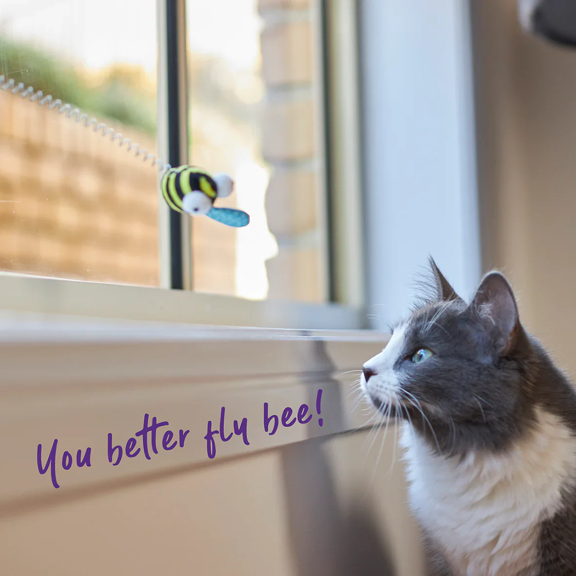 Kazoo Bouncy Bee Cat Toy - Image 2