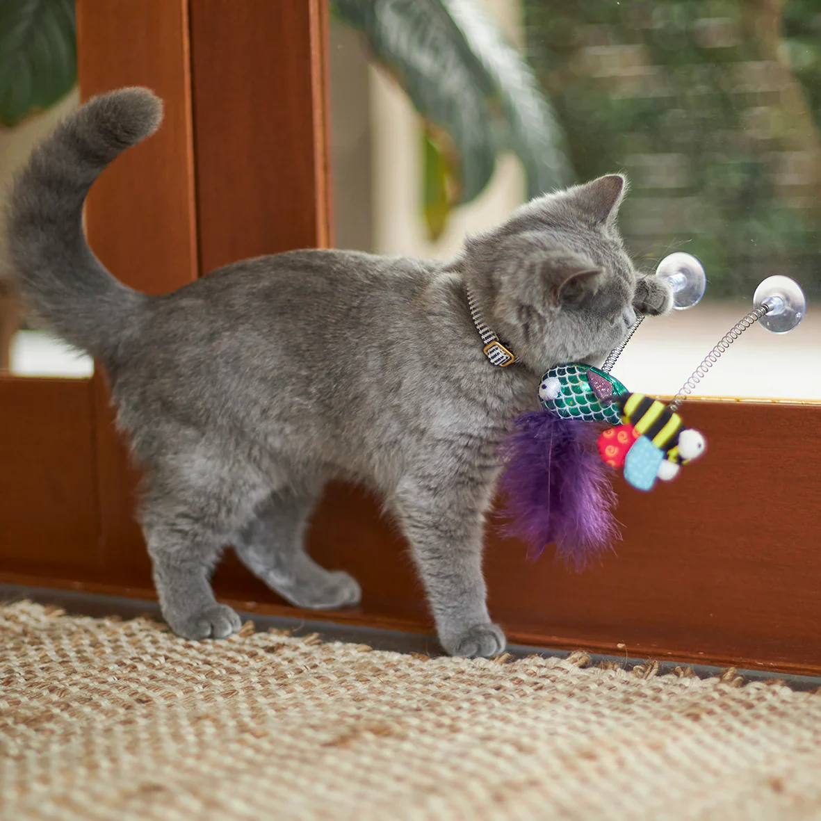 Kazoo Bouncy Bee Cat Toy - Image 3