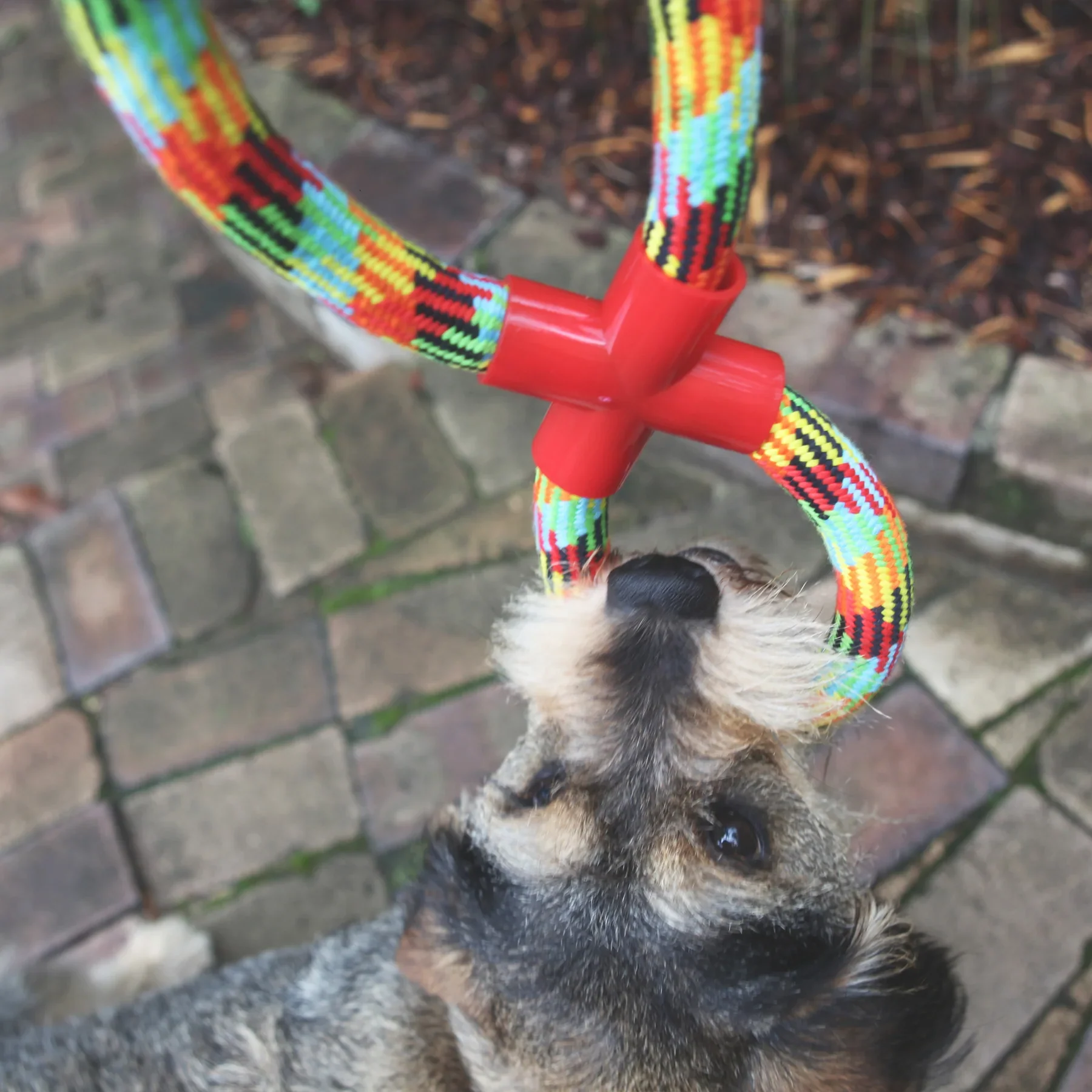 Kazoo Braided Rope Figure 8 Tug Dog Toy - Image 3
