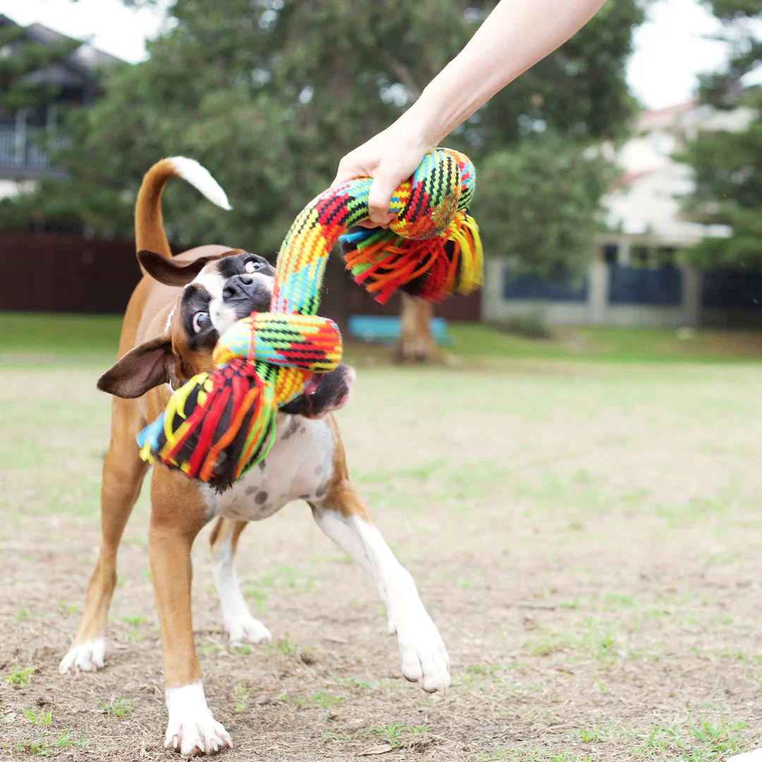 Kazoo Braided Rope Knot Bone Dog Toy - Image 4