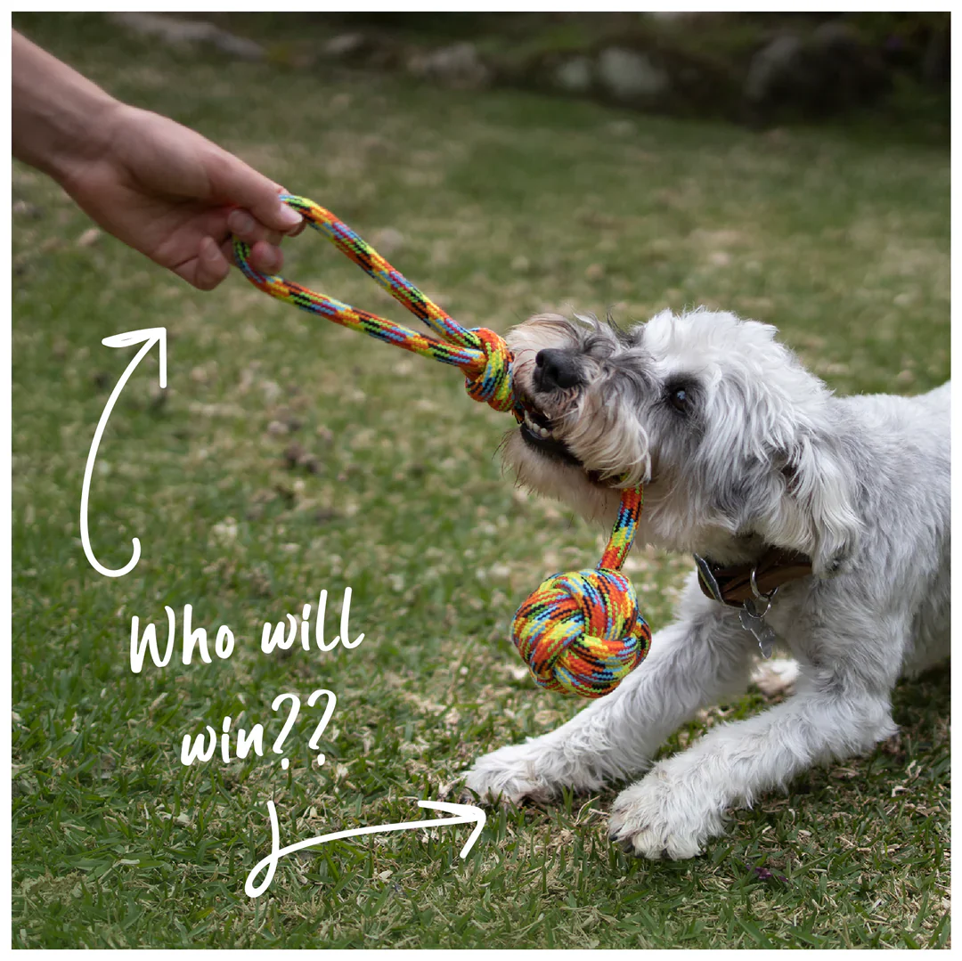Kazoo Braided Rope Sling Knot Ball Dog Toy - Image 5