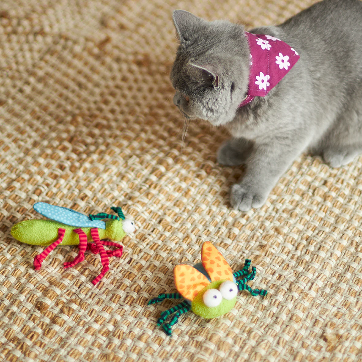 Kazoo Buzzing Bug Cat Toy - Image 5