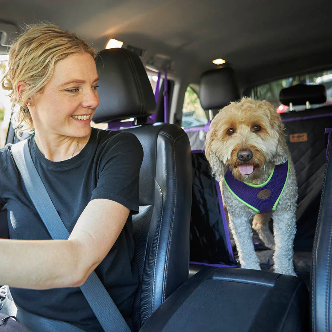 Kazoo Car Seat Cover - Image 10