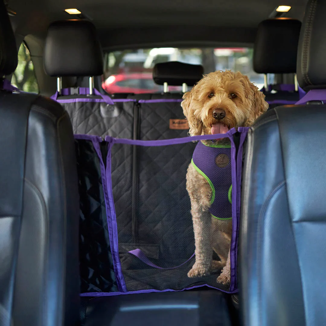 Kazoo Car Seat Cover - Image 2