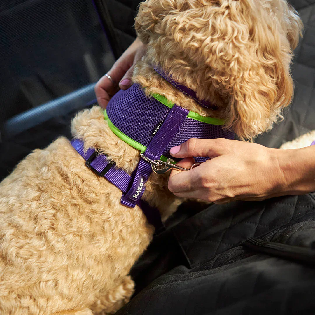 Kazoo Car Seat Cover - Image 8