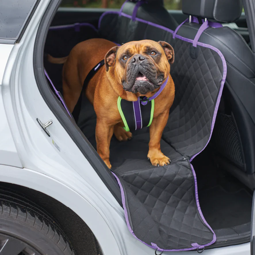 Kazoo Car Seat Cover - Image 9