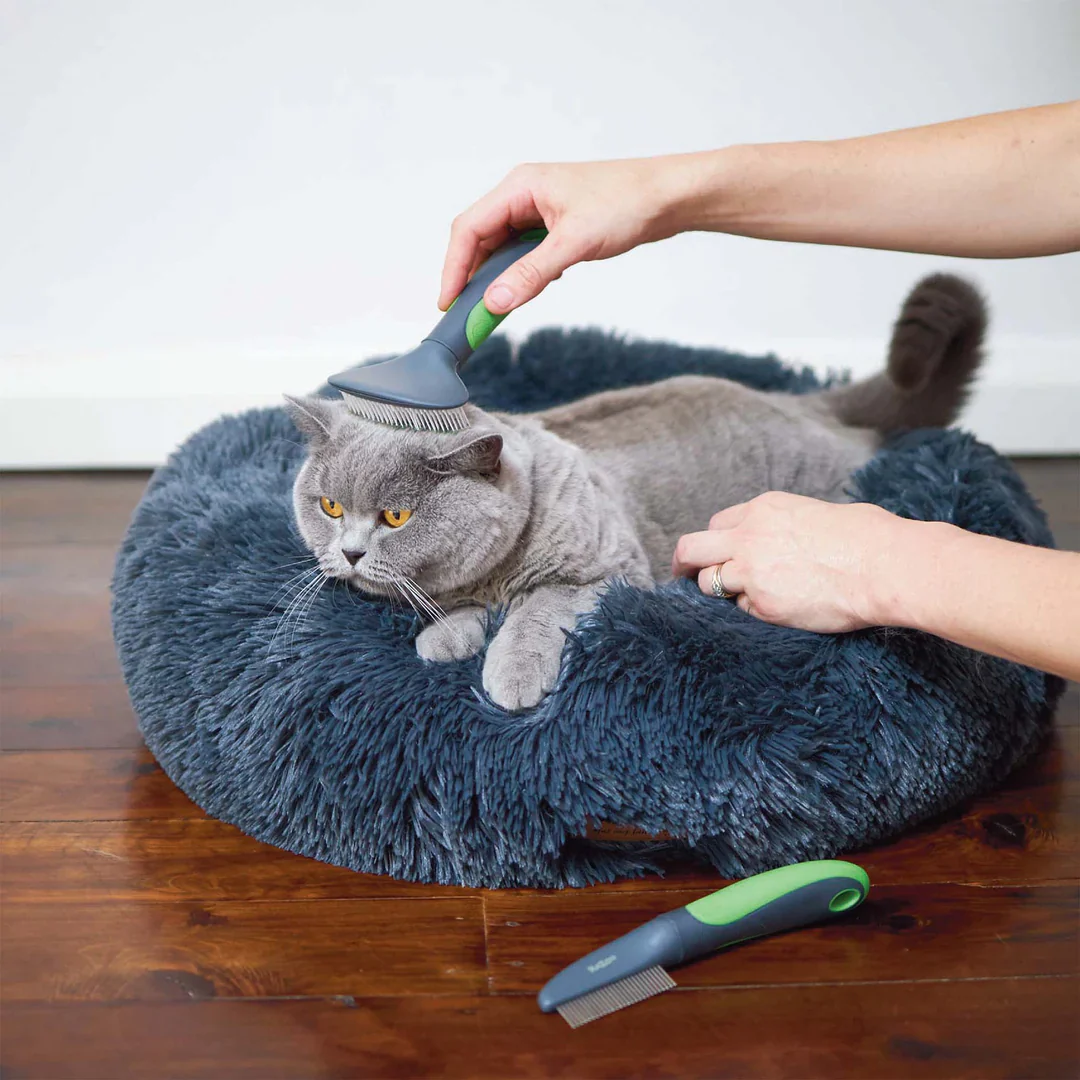 Kazoo Cat Brush - Slicker - Image 3