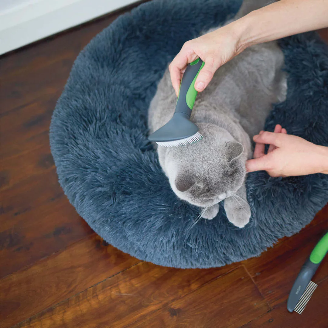 Kazoo Cat Brush - Slicker - Image 4