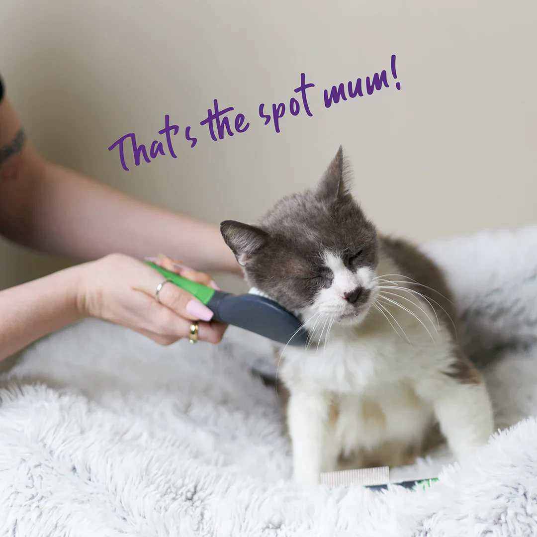 Kazoo Cat Brush - Soft - Image 3