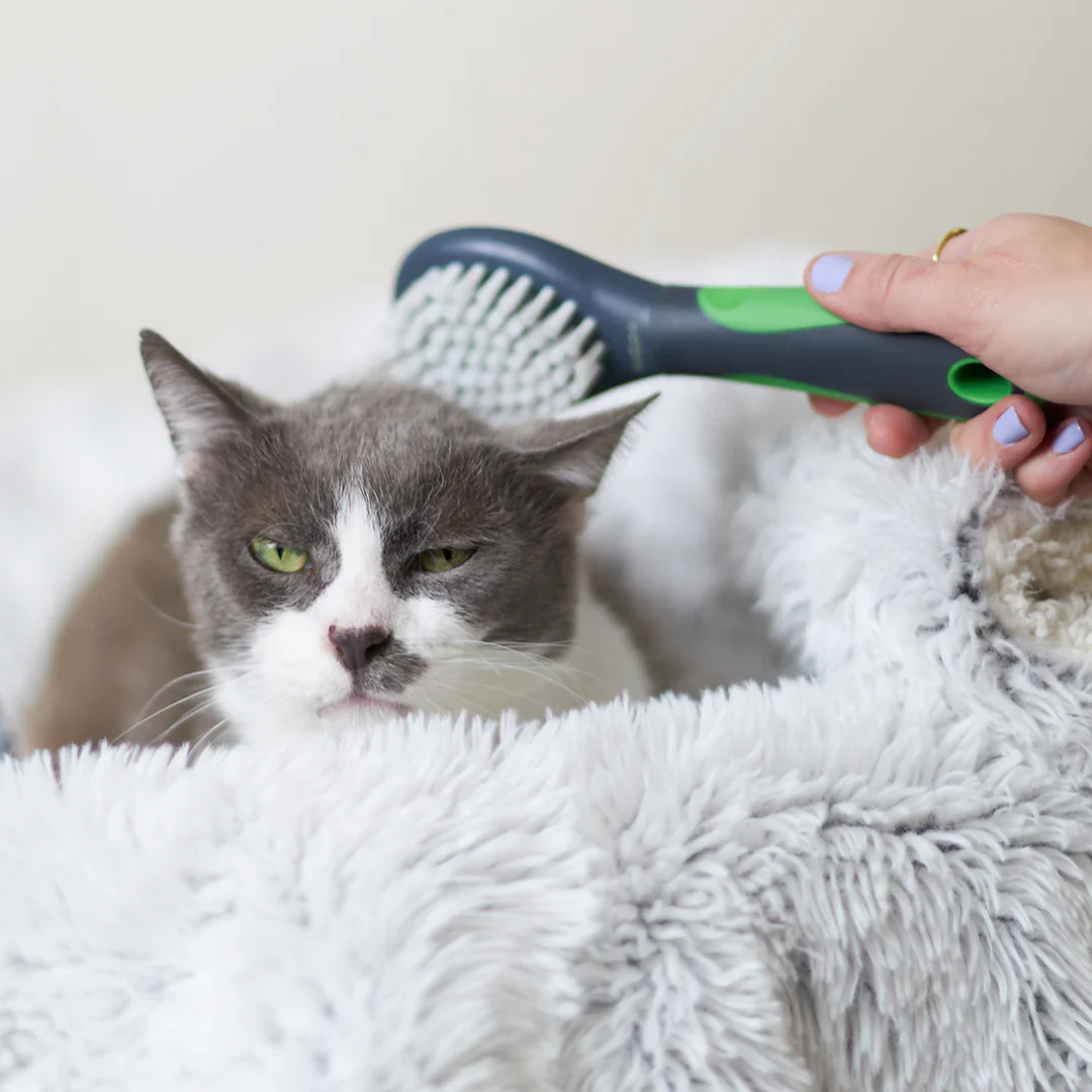 Kazoo Cat Brush - Soft - Image 4