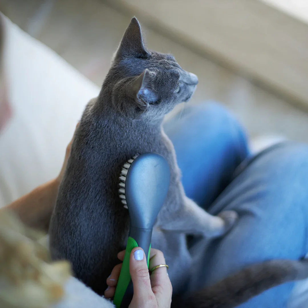 Kazoo Cat Brush - Soft - Image 5
