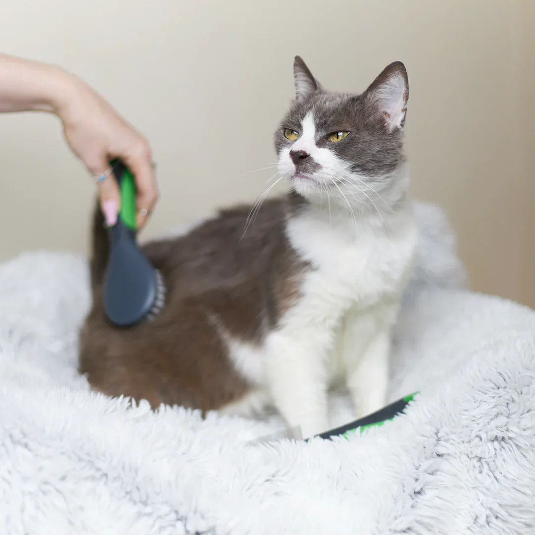 Kazoo Cat Brush - Soft - Image 6