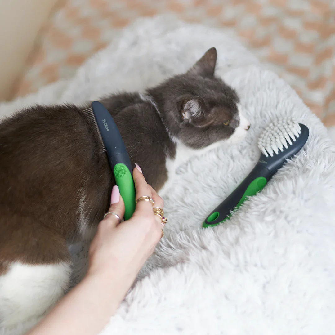 Kazoo Cat Comb - Image 4