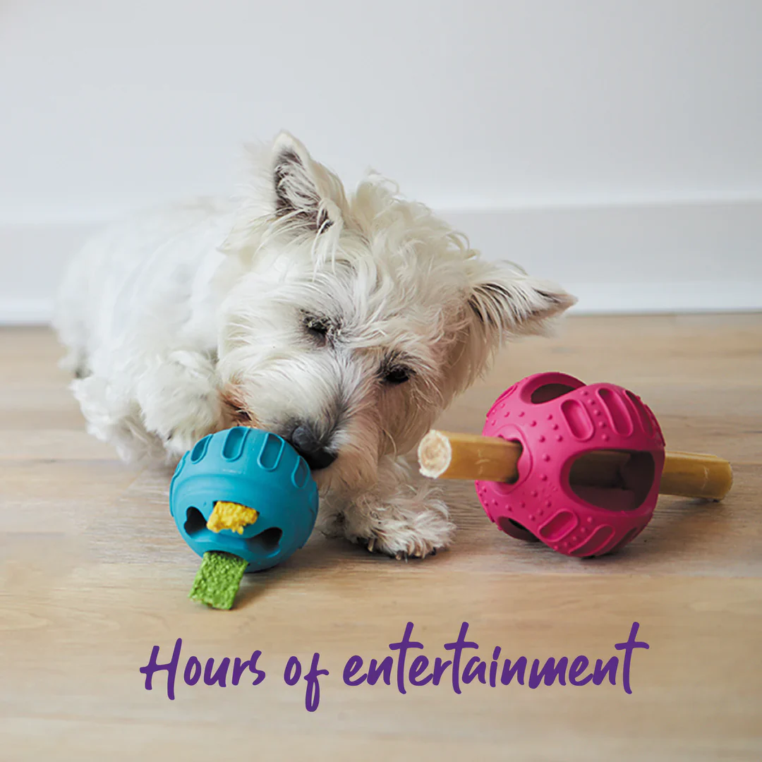 Kazoo Chew and Treat Enrichment Ball Dog Toy - Image 3