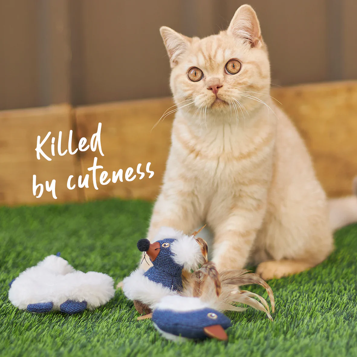 Kazoo Chirpy Bird Cat Toy - Image 2