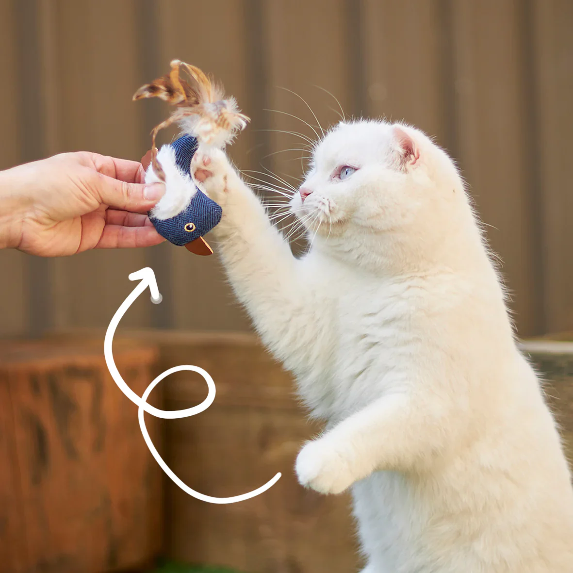 Kazoo Chirpy Bird Cat Toy - Image 3