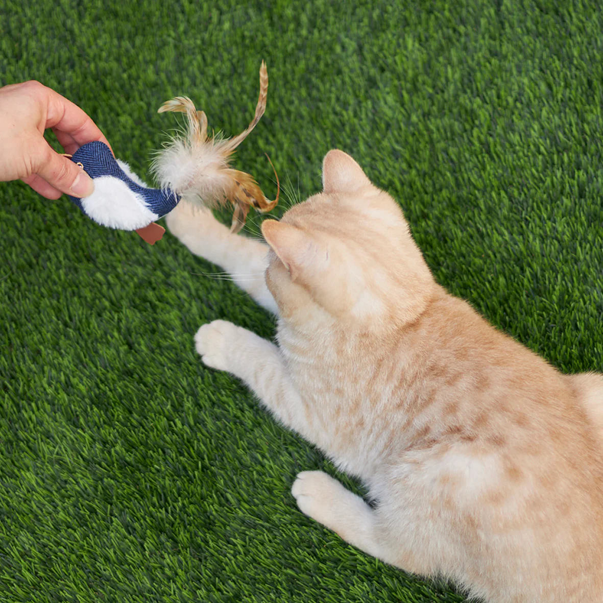 Kazoo Chirpy Bird Cat Toy - Image 5