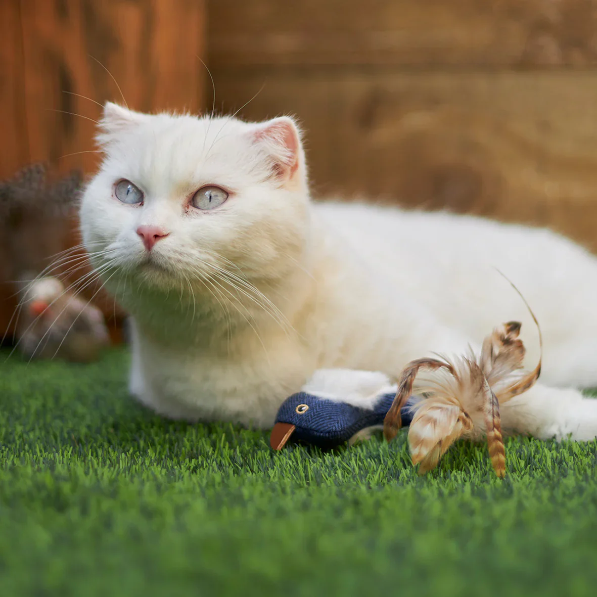 Kazoo Chirpy Bird Cat Toy - Image 6