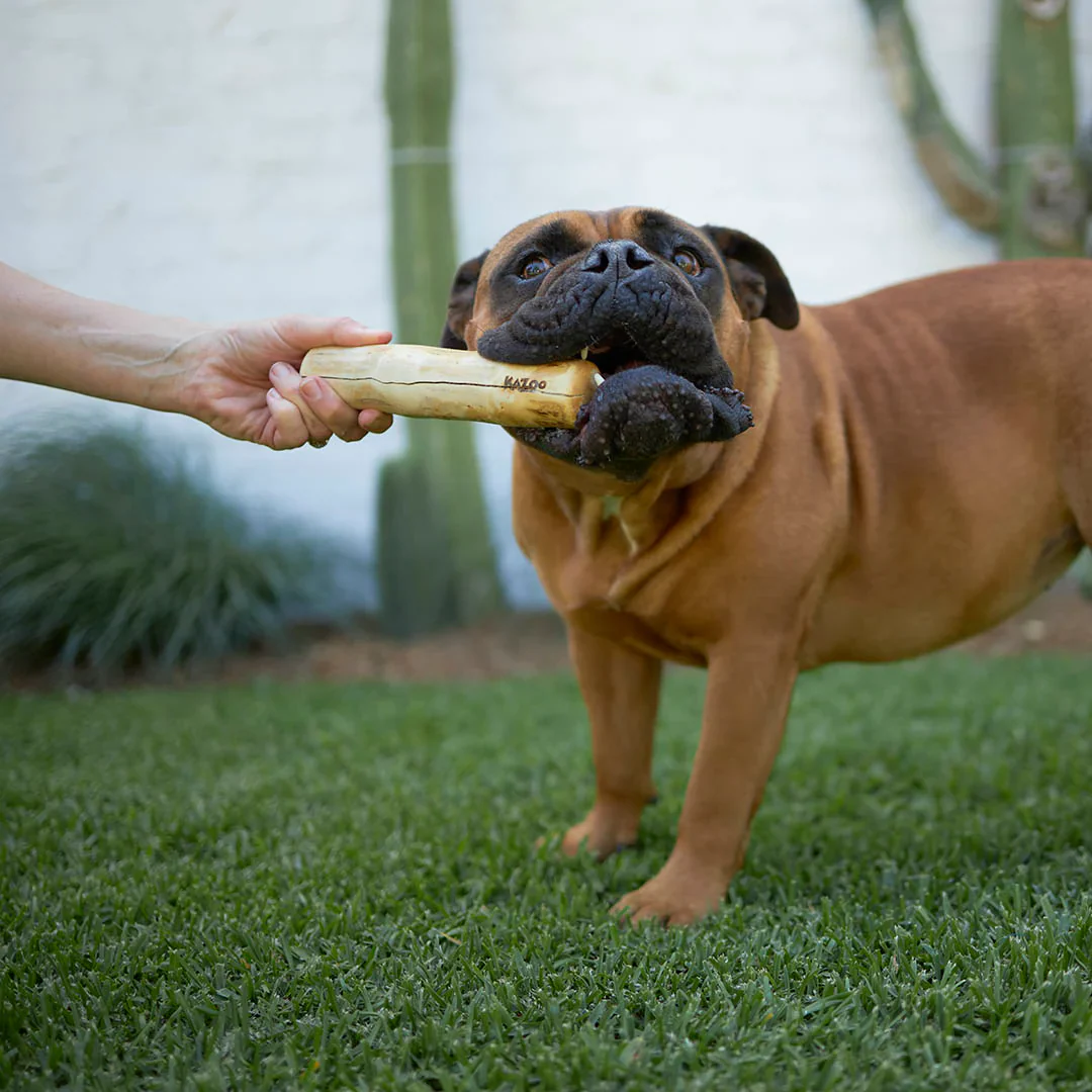 Kazoo Coffee Wood Chew Dog Toy - Image 2