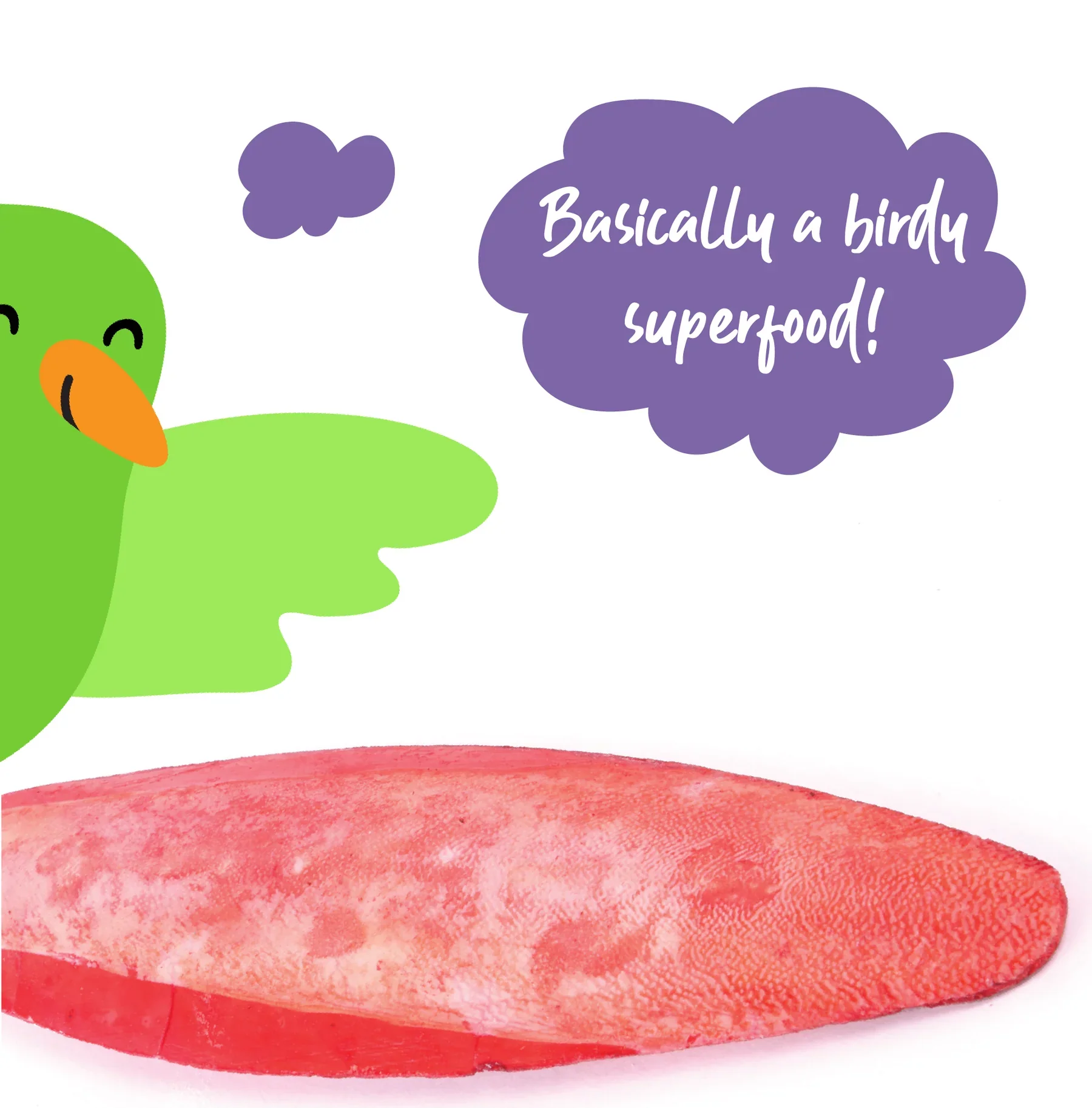 Kazoo Cuttlebone Lime and Chilli - Image 2
