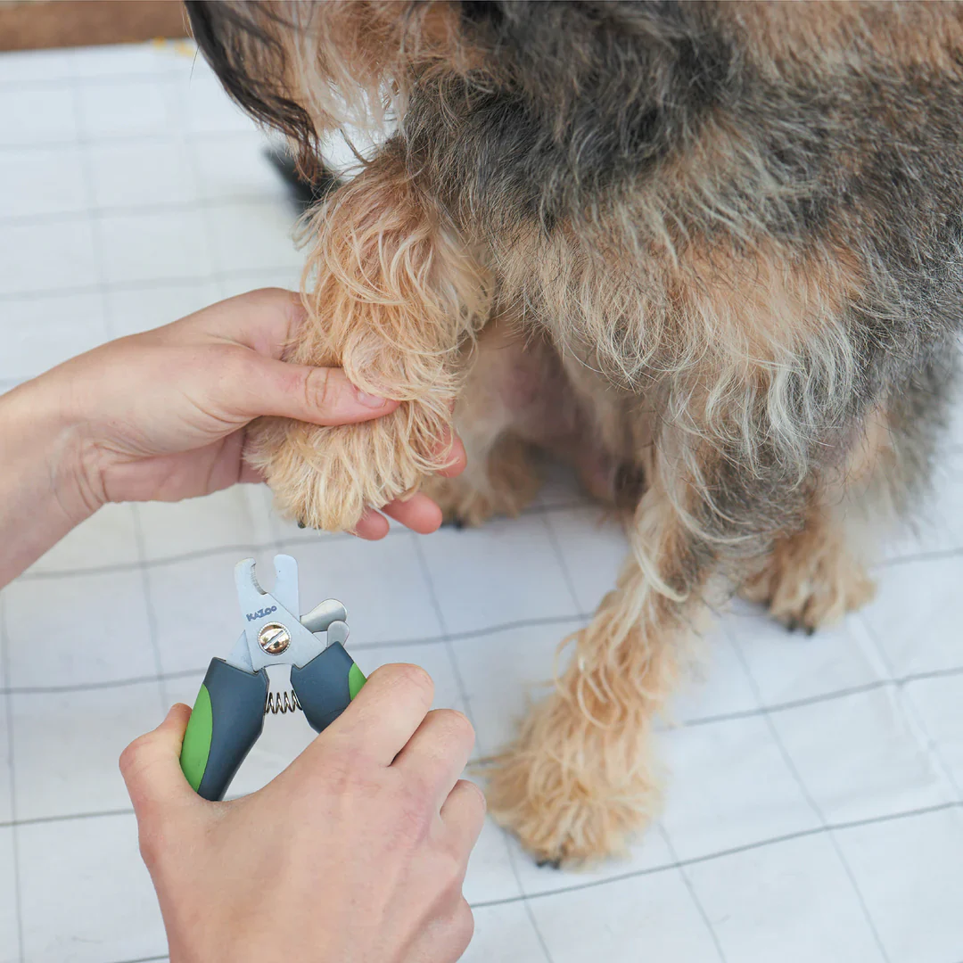 Kazoo Deluxe Nail Clipper - Image 2