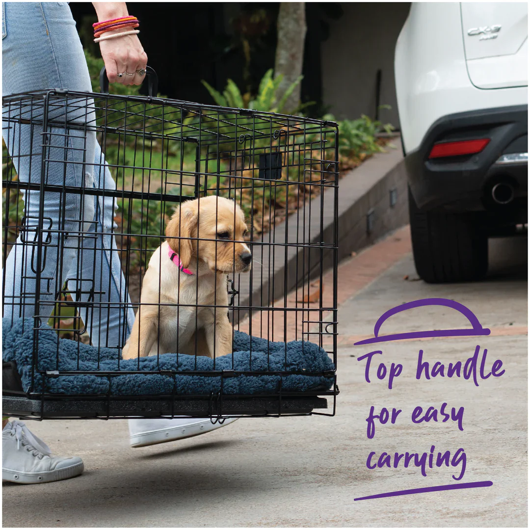 Kazoo Everyday Dog Crate - Image 3
