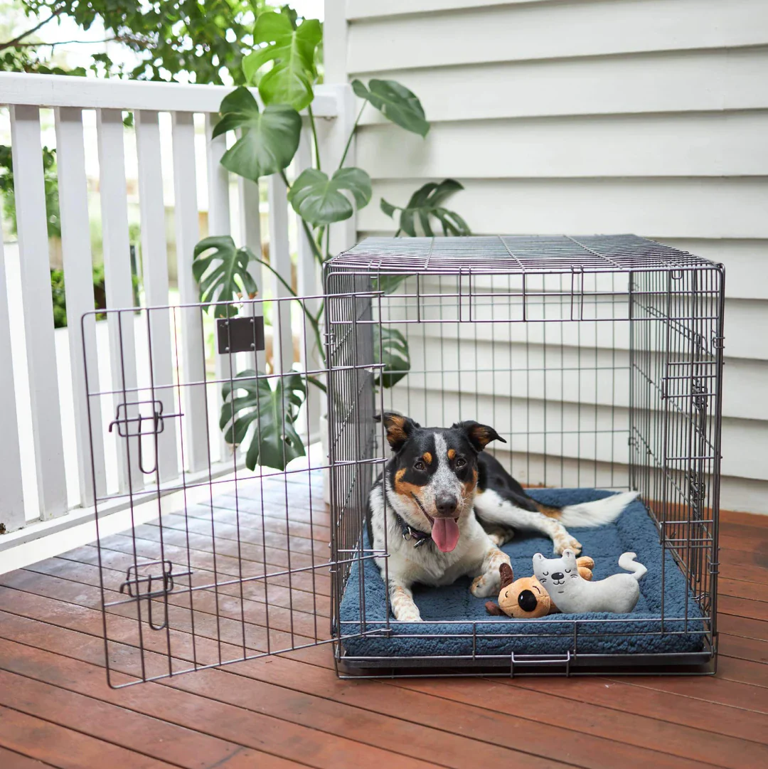 Kazoo Everyday Dog Crate - Image 5