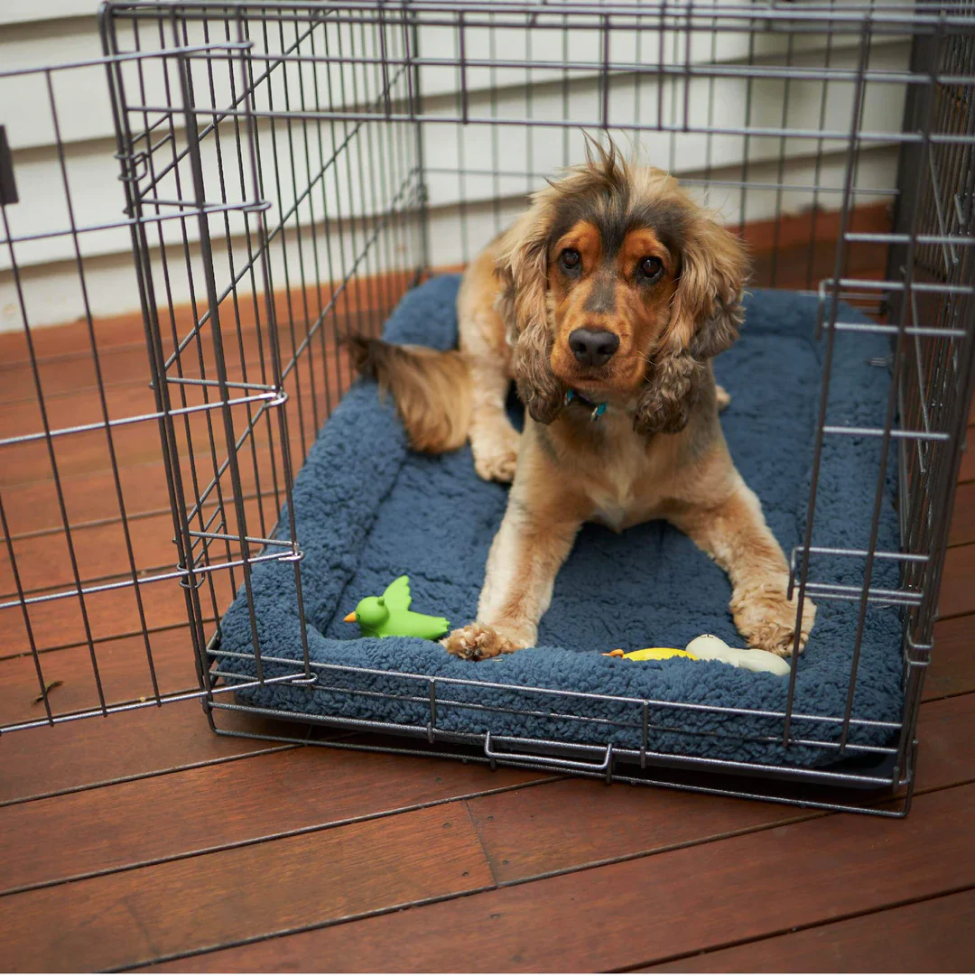 Kazoo Everyday Dog Crate - Image 6
