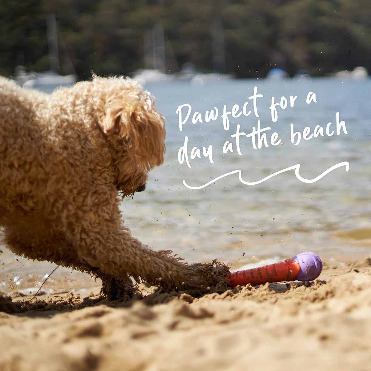 Kazoo Extreme Play Chew Stick - Image 5