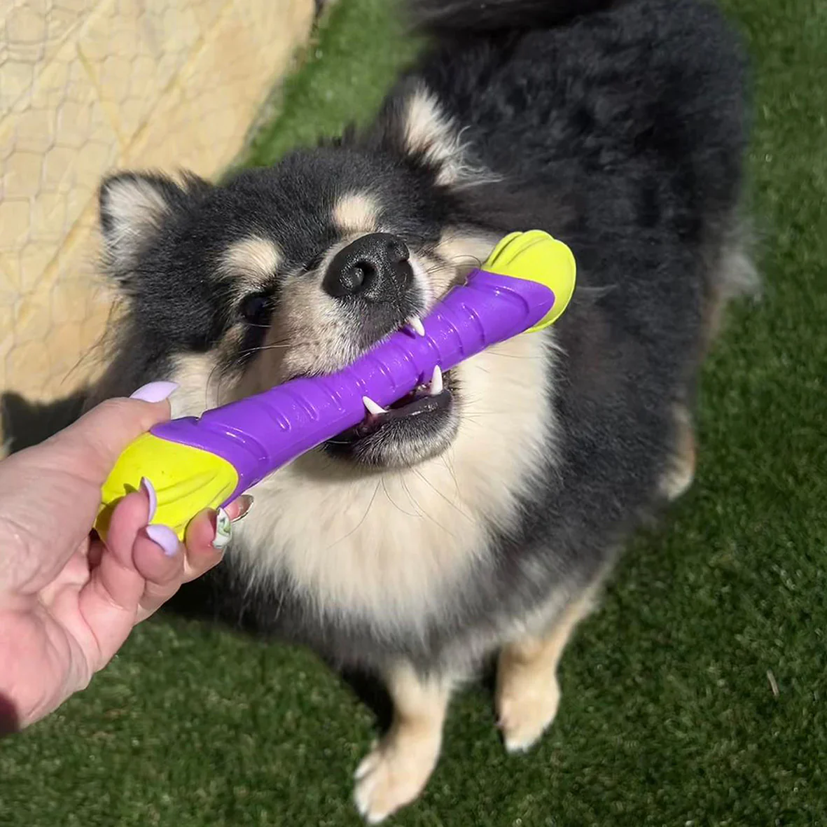 Kazoo Extreme Play Chew Stick - Image 6