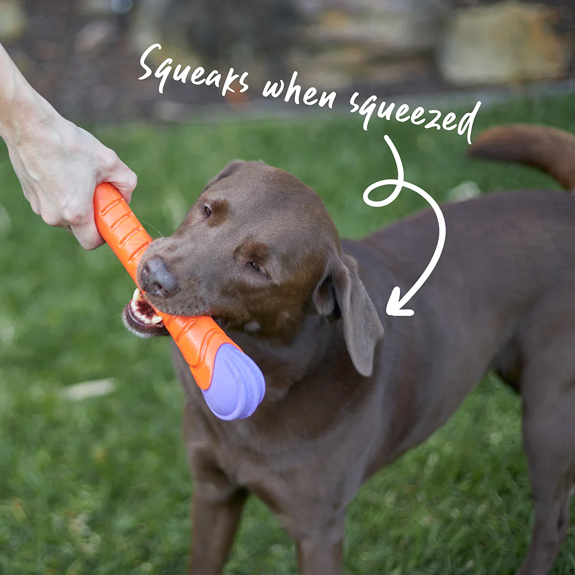 Kazoo Extreme Play Chew Stick - Image 7