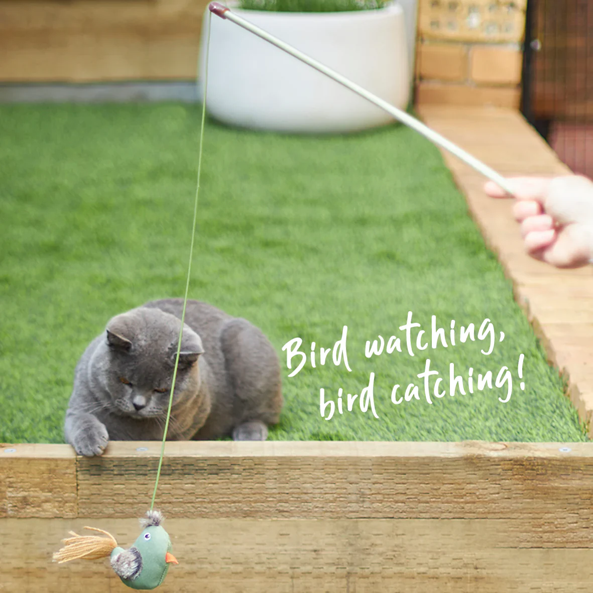 Kazoo Fantail Bird Wand Cat Toy - Image 2