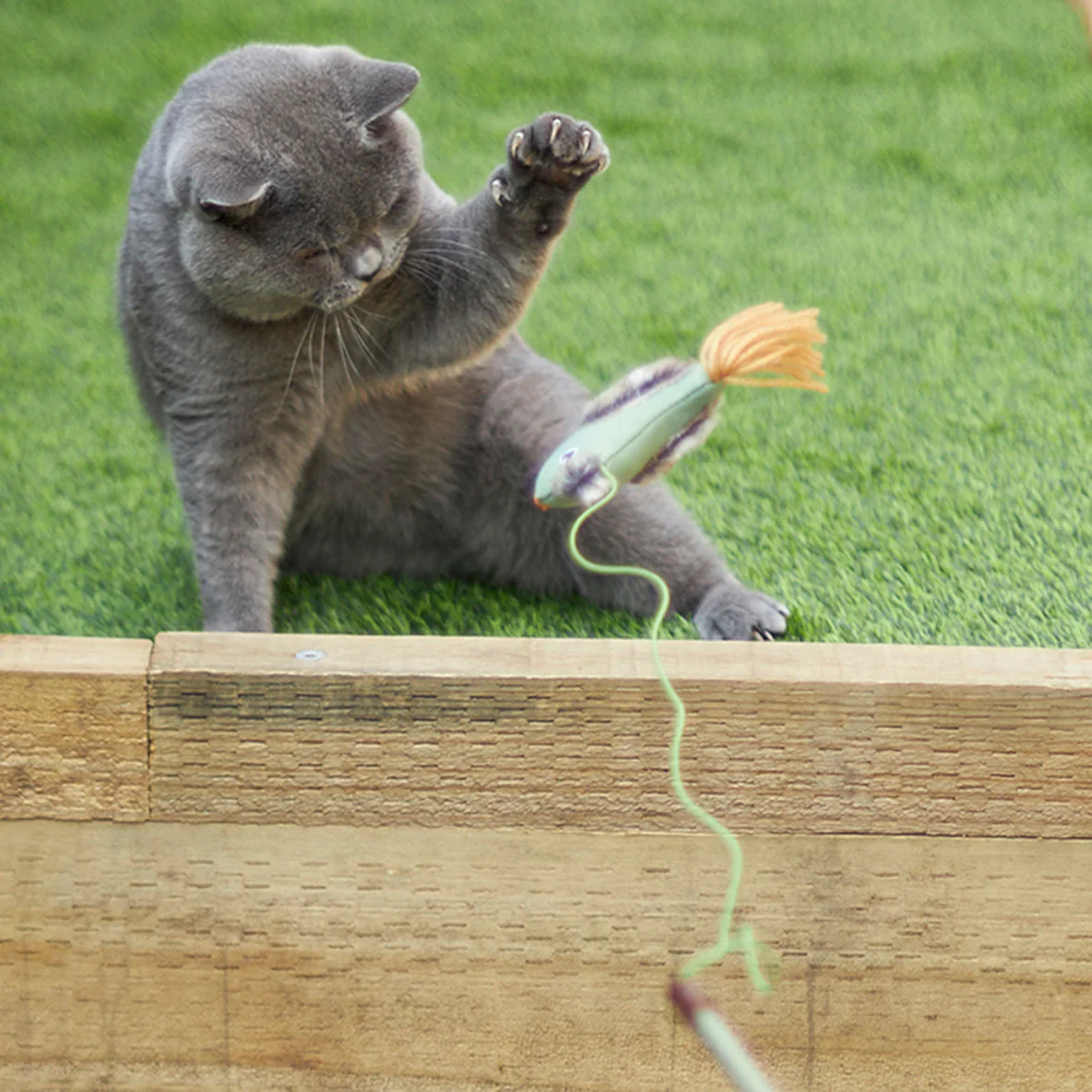 Kazoo Fantail Bird Wand Cat Toy - Image 4