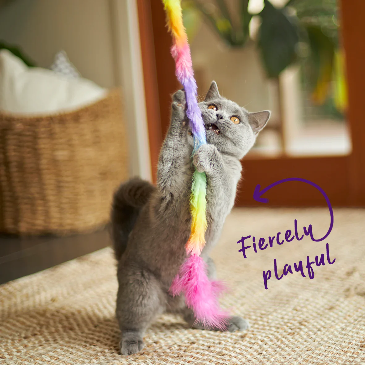 Kazoo Fluffy Rainbow Tail Cat Toy - Image 2
