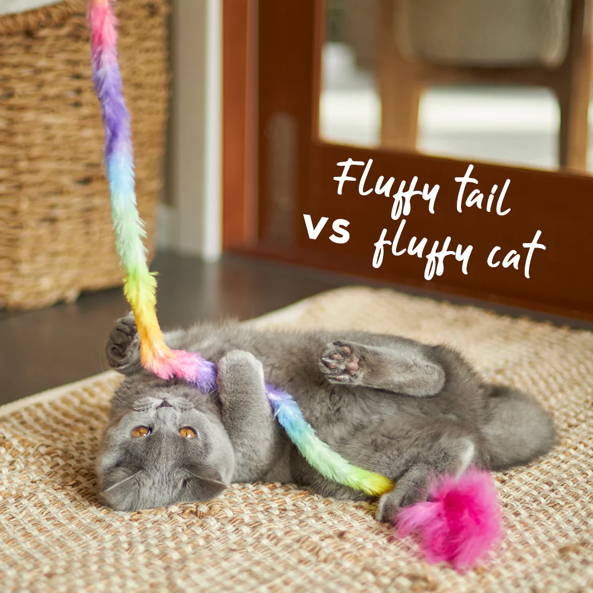Kazoo Fluffy Rainbow Tail Cat Toy - Image 3