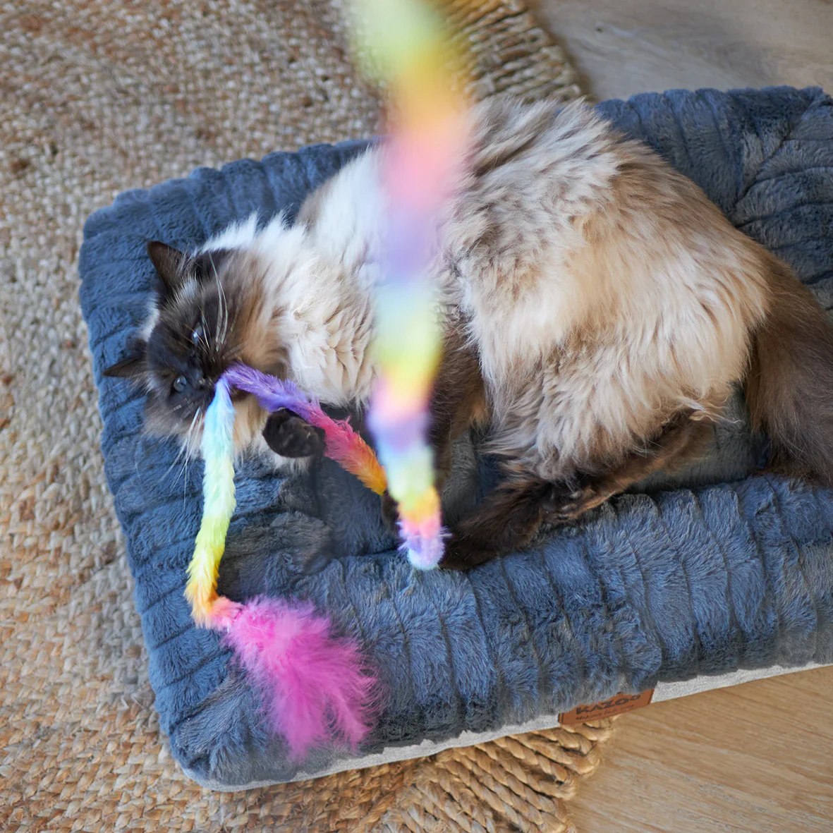 Kazoo Fluffy Rainbow Tail Cat Toy - Image 4
