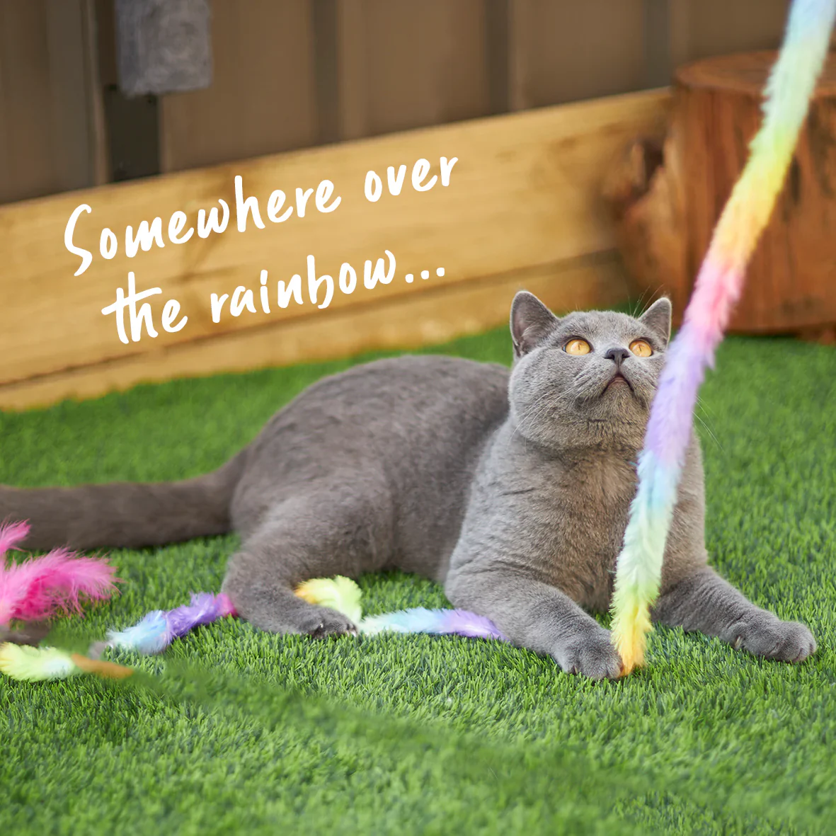 Kazoo Fluffy Rainbow Tail Cat Toy - Image 5