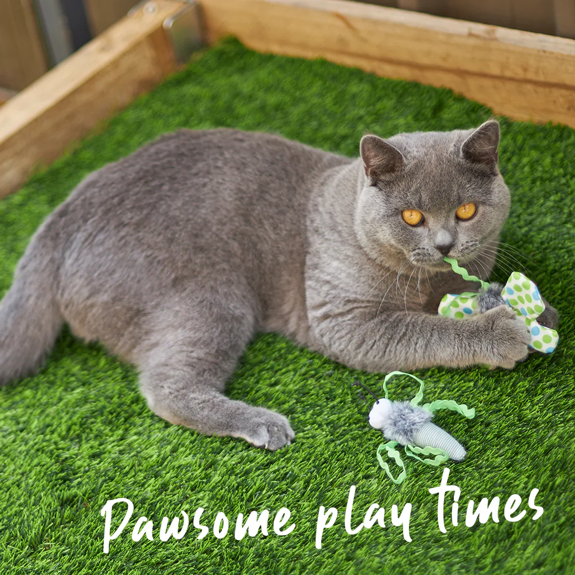 Kazoo Flutterby Cat Toy - Image 2