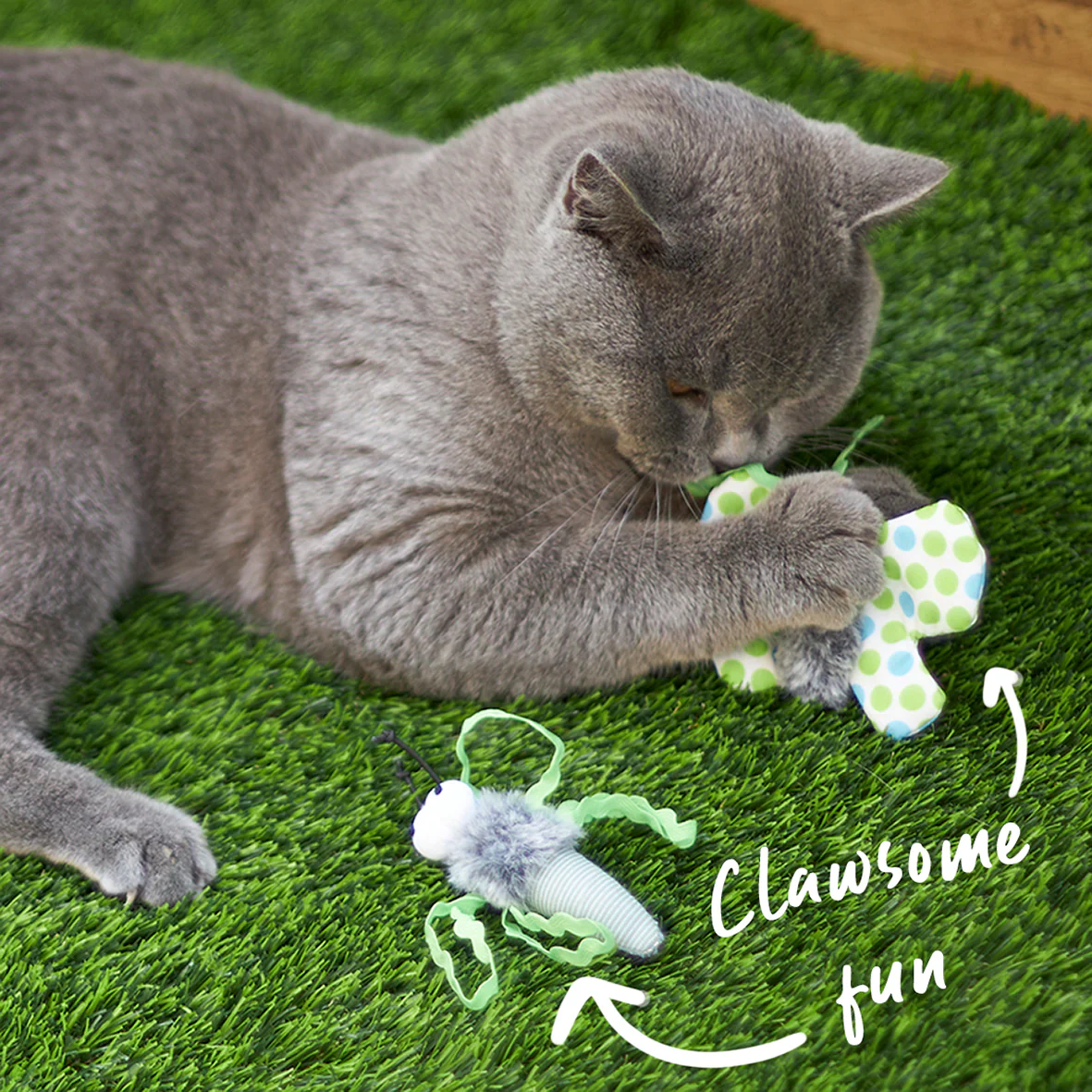 Kazoo Flutterby Cat Toy - Image 3