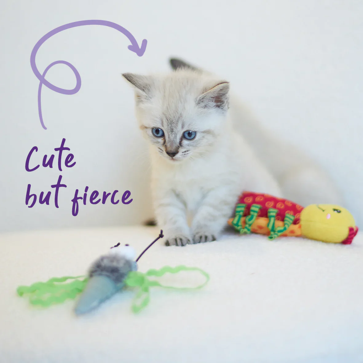 Kazoo Flutterby Cat Toy - Image 4