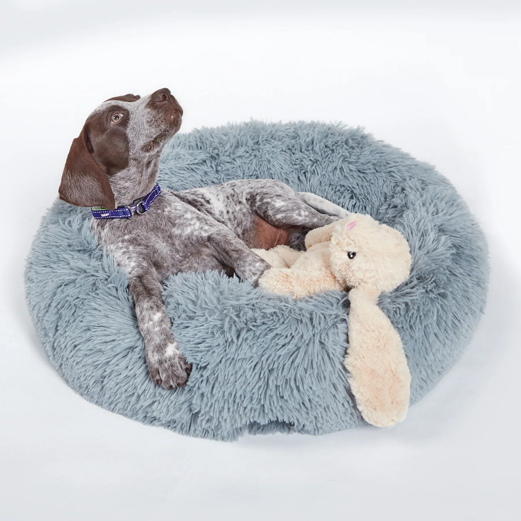 Kazoo Furries Long Eared Bunny Dog Toy - Image 2