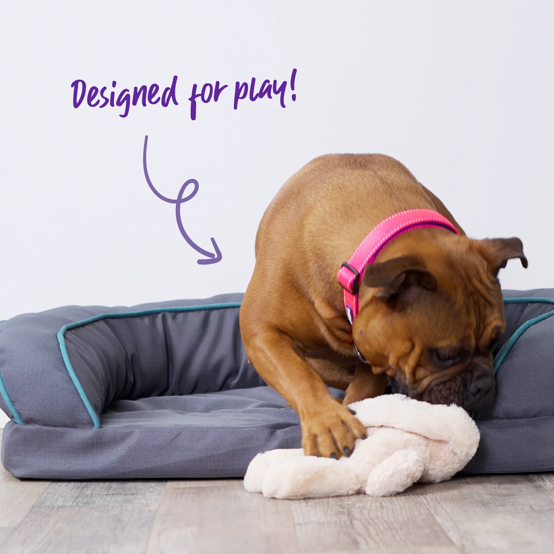 Kazoo Furries Long Eared Bunny Dog Toy - Image 4