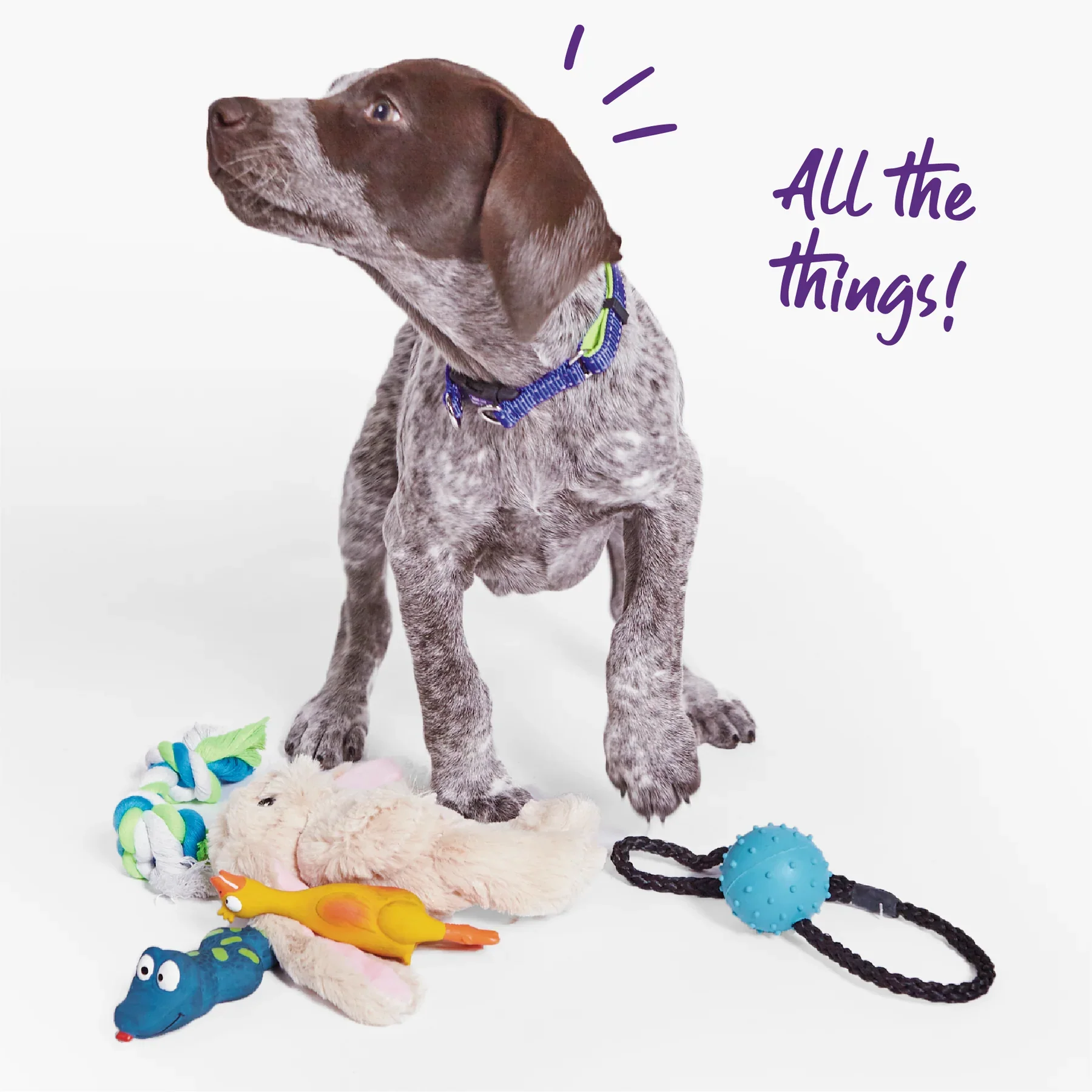 Kazoo Furries Long Eared Bunny Dog Toy - Image 7