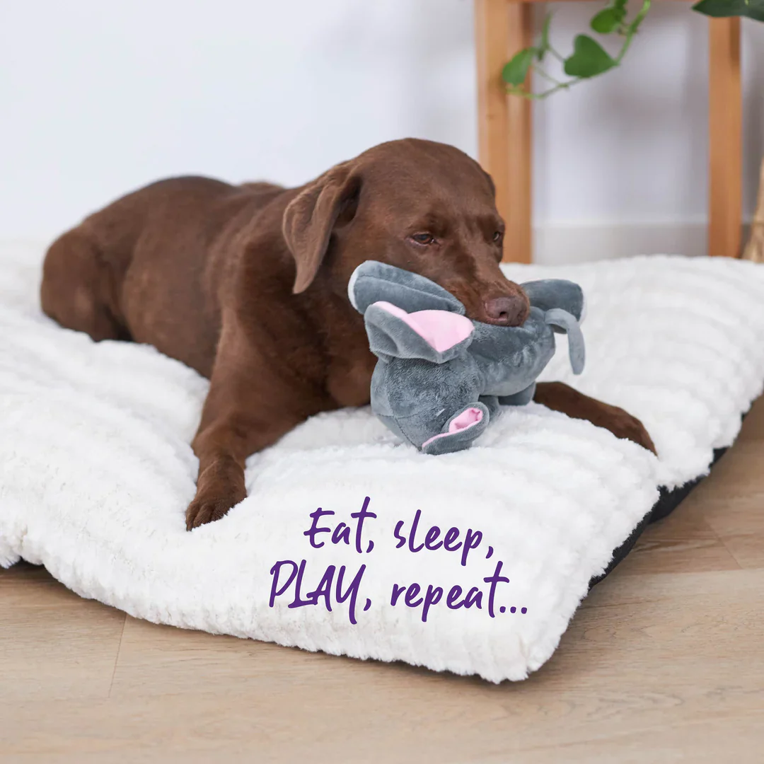 Kazoo Furries Long Eared Elephant Dog Toy - Image 2