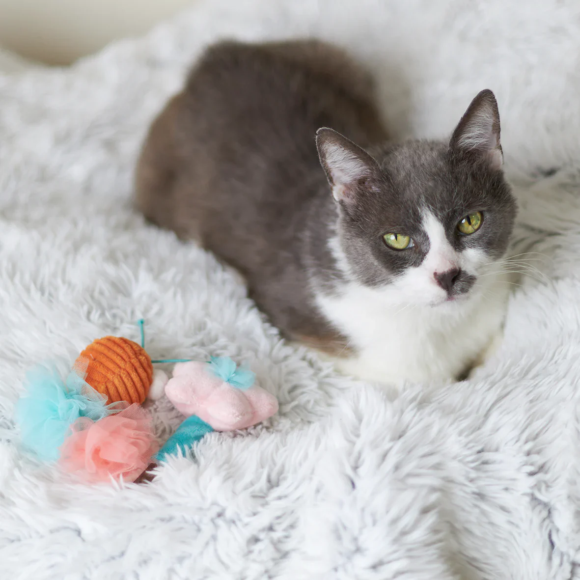 Kazoo Garden Treats Cat Toy - Image 2