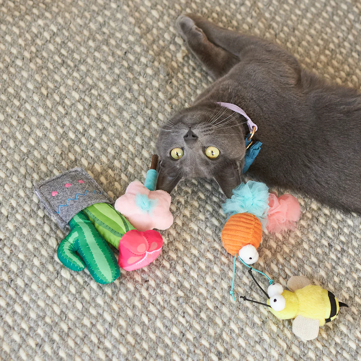 Kazoo Garden Treats Cat Toy - Image 4