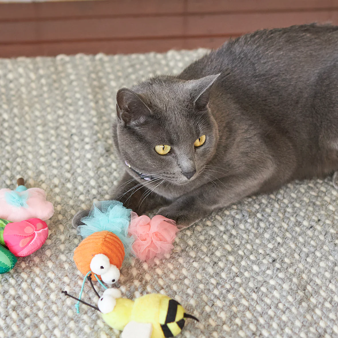 Kazoo Garden Treats Cat Toy - Image 5
