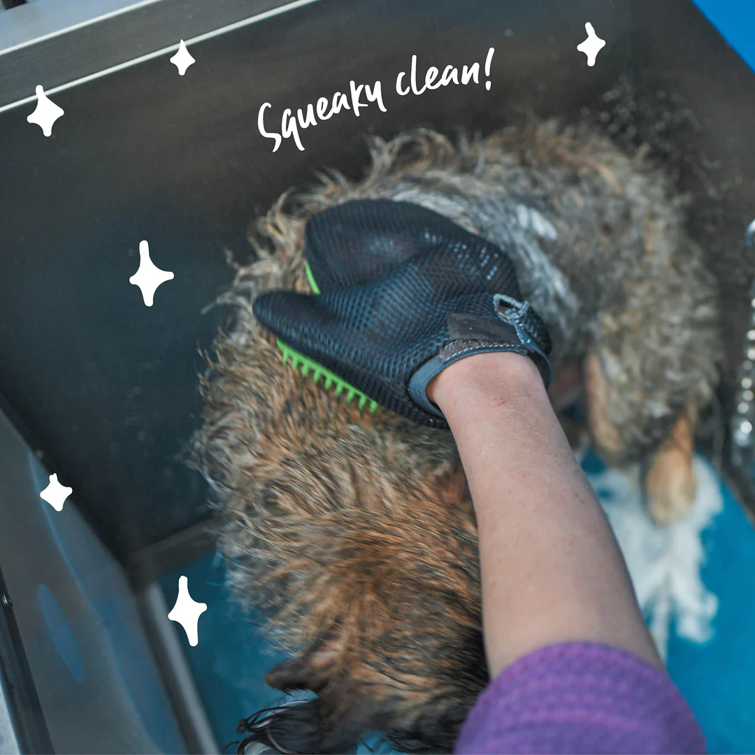 Kazoo Grooming Glove - Image 3