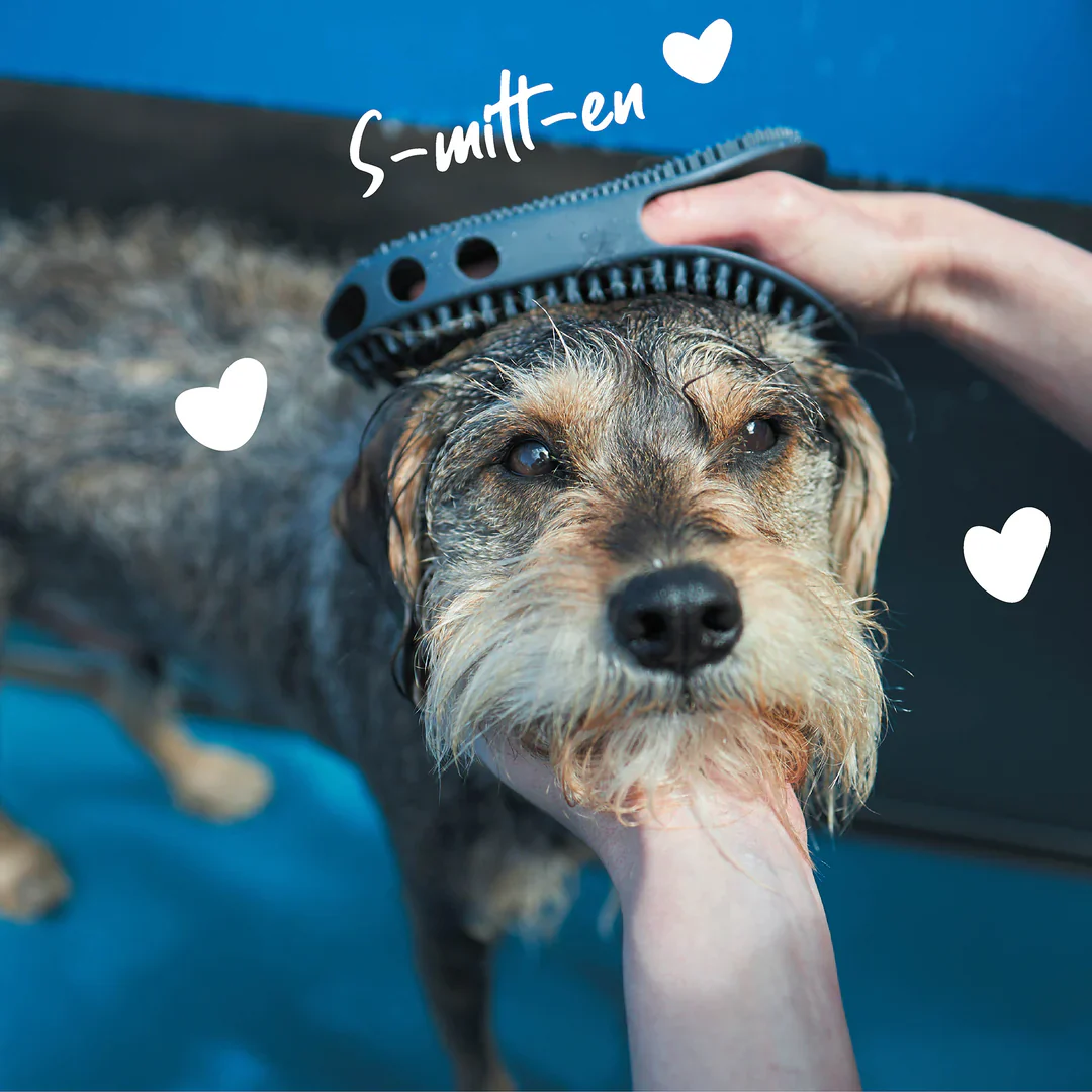 Kazoo Grooming Mitt - Image 2